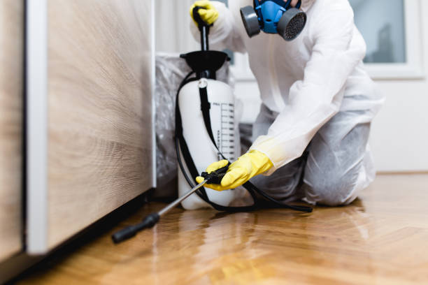 Best Local Pest Control Services  in Martinsvle, IL