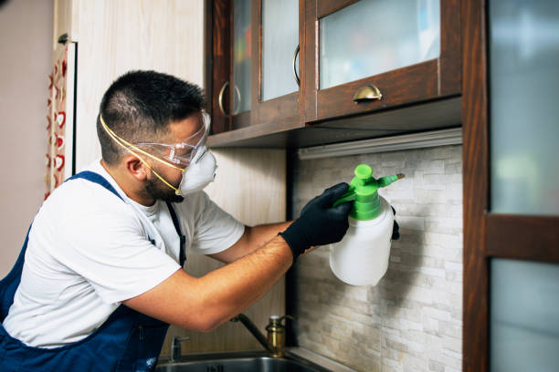 Best Exterminator Services  in Martinsvle, IL