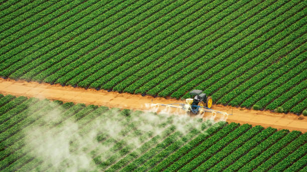 Best Mosquito Control Services  in Martinsvle, IL