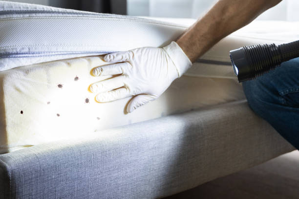 Trusted Martinsville, IL Pest Control Experts