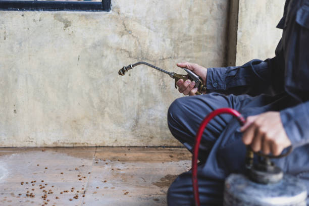 Best Best Pest Control Companies  in Martinsvle, IL